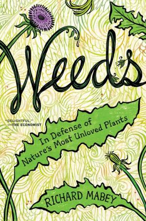 Cover of the book Weeds by Robert Hamburger, Barbara Hamburger