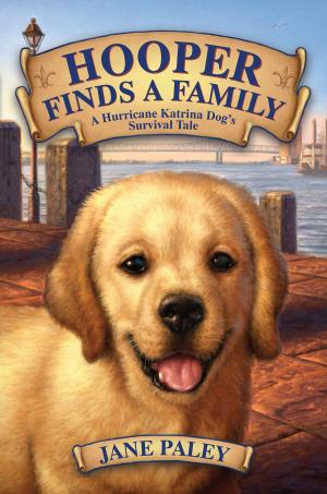 Cover of the book Hooper Finds a Family by Jeff Grubb