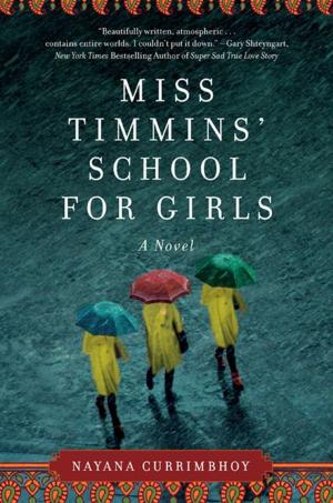 Cover of the book Miss Timmins' School for Girls by Willy Vlautin
