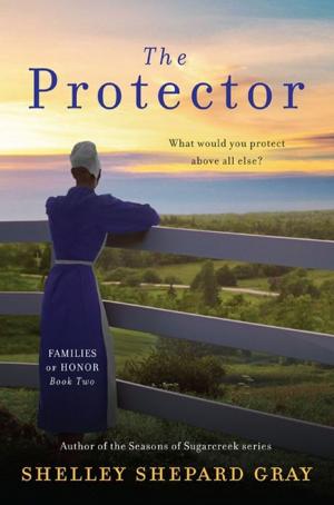Cover of the book The Protector by Patrick McKeown