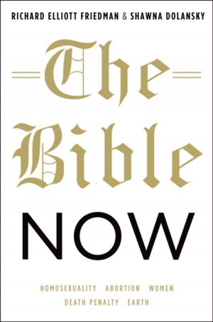 Cover of the book The Bible Now by John Mueller, Mark G. Stewart