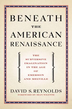 Book cover of Beneath the American Renaissance