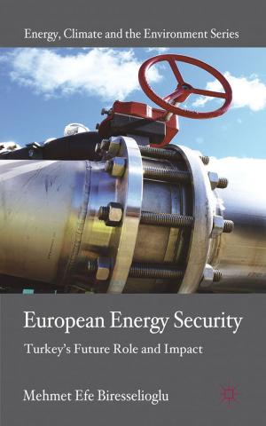 Cover of the book European Energy Security by Lucy Nicholas