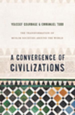 Book cover of A Convergence of Civilizations