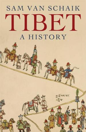 Cover of the book Tibet by David Satter