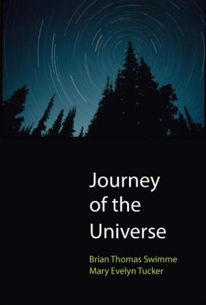 Book cover of Journey of the Universe