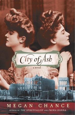 Cover of the book City of Ash by Lee Brazil