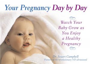 Cover of the book Your Pregnancy Day by Day by Andy McNab