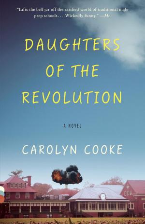 Cover of the book Daughters of the Revolution by Roger D. Hodge