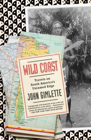 Cover of the book Wild Coast by Eric Ambler