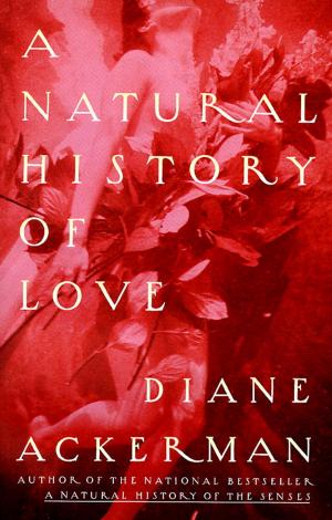 bigCover of the book A Natural History of Love by 