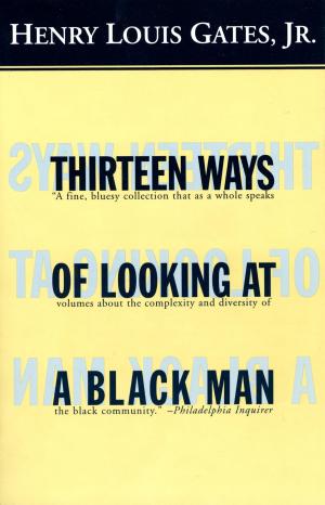 Cover of the book Thirteen Ways of Looking at a Black Man by e williams