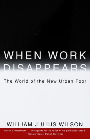 Cover of the book When Work Disappears by James Fallows