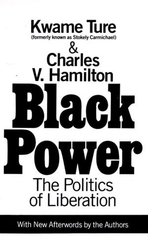 Cover of the book Black Power by Julie Kramer