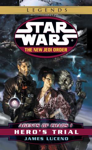 Cover of the book Hero's Trial: Star Wars Legends (The New Jedi Order: Agents of Chaos, Book I) by Adam Moon