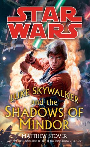 Cover of the book Luke Skywalker and the Shadows of Mindor: Star Wars Legends by Paul Krueger