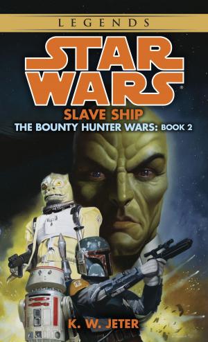 Cover of the book Slave Ship: Star Wars Legends (The Bounty Hunter Wars) by Karen Langolf
