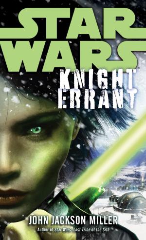 Cover of the book Knight Errant: Star Wars Legends by Terry Brooks