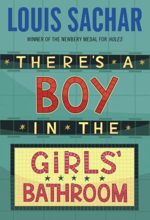 Cover of the book There's a Boy in the Girls' Bathroom by Emily Jenkins