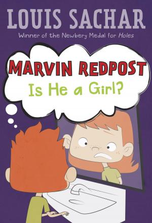 Cover of the book Marvin Redpost #3: Is He a Girl? by Erik Craddock