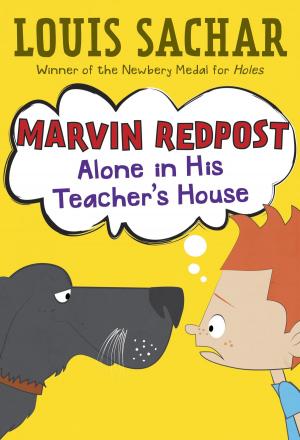 Cover of the book Marvin Redpost #4: Alone in His Teacher's House by Muriel Zürcher