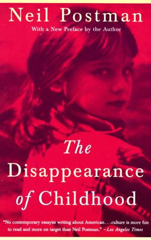 Cover of the book The Disappearance of Childhood by George Johnson