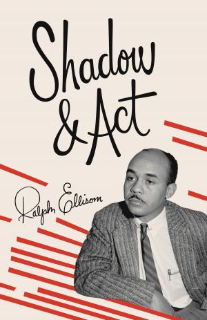 Cover of the book Shadow and Act by David Noland