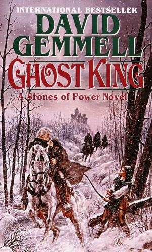 Cover of the book Ghost King by Mckay Jenkins