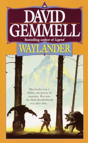 Cover of the book Waylander by Sean Van Damme