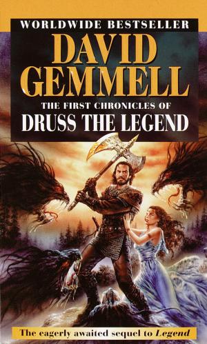 Book cover of The First Chronicles of Druss the Legend