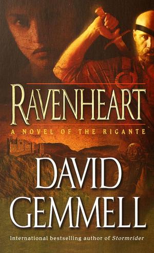 Cover of the book Ravenheart by Scott Westerfeld, Devin Grayson