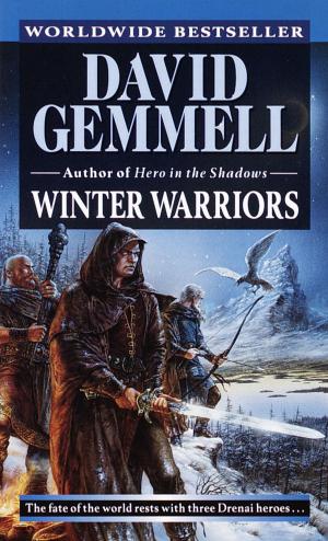 Cover of the book Winter Warriors by Iris Johansen