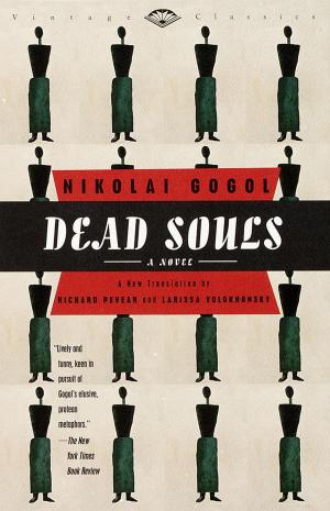 Cover of the book Dead Souls by Julia Stuart