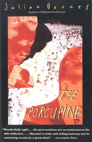 Cover of the book The Porcupine by Dan Rockmore