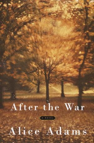 Cover of the book After the War by Jane Mendelsohn
