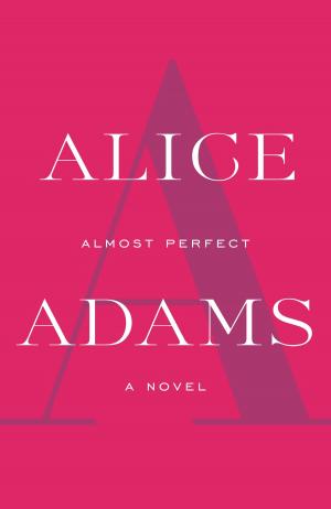 Cover of the book Almost Perfect by Giles Foden