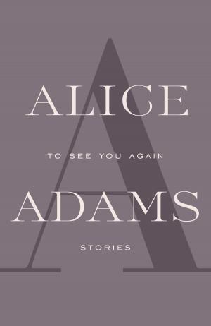 Cover of the book TO SEE YOU AGAIN by Richard Erdoes, Alfonso Ortiz