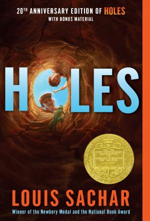 bigCover of the book Holes by 
