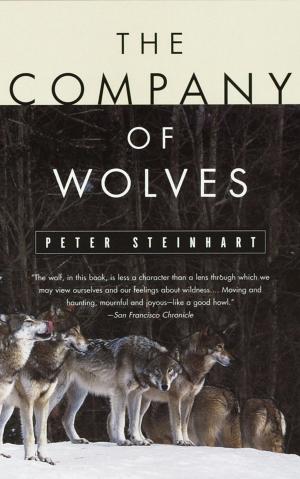 Cover of the book The Company of Wolves by John Gimlette