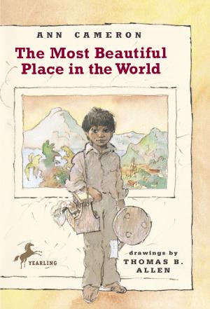 Cover of the book The Most Beautiful Place in the World by Lee Bacon