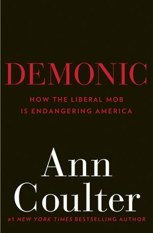 Cover of the book Demonic by Andrew Root