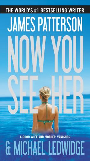 Cover of the book Now You See Her by Jamie Brenner