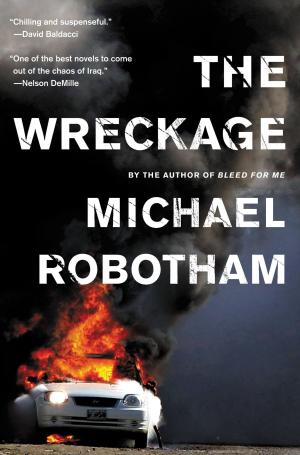 Cover of the book The Wreckage by Katie Crouch