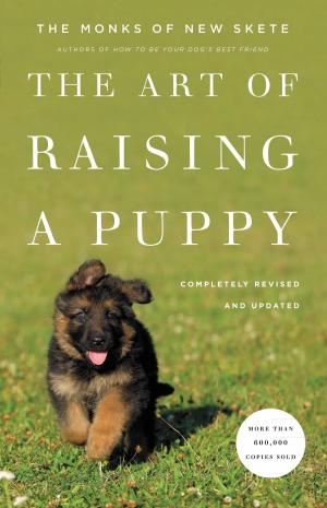 Cover of the book The Art of Raising a Puppy (Revised Edition) by Harry Davis