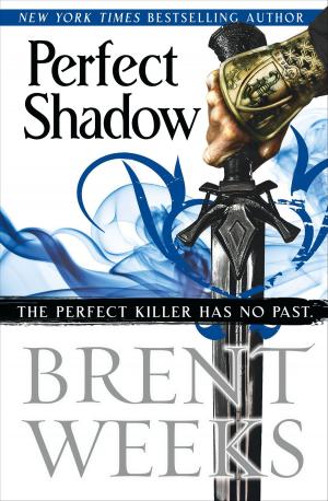 Cover of the book Perfect Shadow by Elliott James