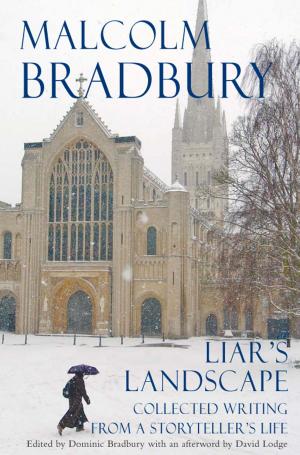 Book cover of Liar's Landscape