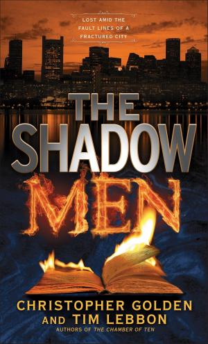 Cover of the book The Shadow Men by Gillian St Kevern