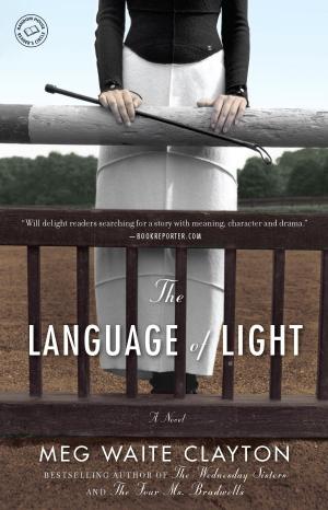 Cover of the book The Language of Light by Jamie Ford
