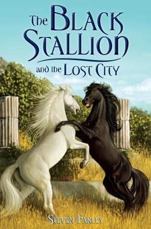 Cover of the book The Black Stallion and the Lost City by Meaghan McIsaac
