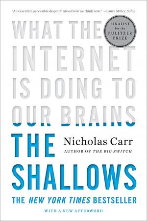 Cover of the book The Shallows: What the Internet Is Doing to Our Brains by Thomas Robisheaux